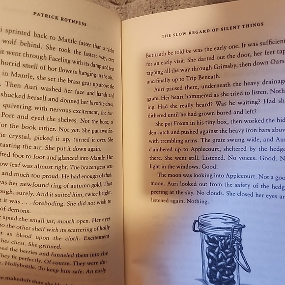 🤓 The Wise Man's Fear + The Slow Regard Of Silent Things by Patrick Rothfuss 🤓 - Picture 7 of 7